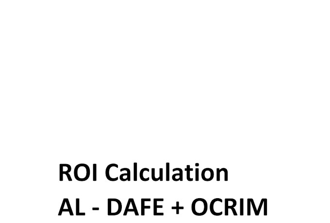 customized financial models, projections, and investment appraisal